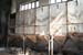 Galvanik_5926