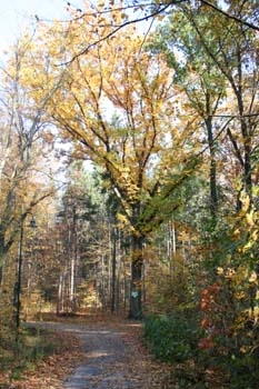DD-Langebrueck_3512