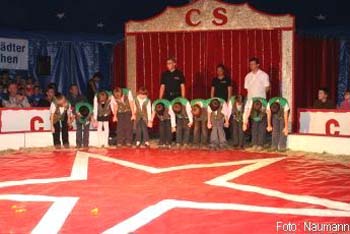 Projektzirkus-069