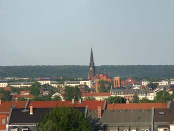 DSCF8480