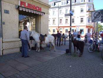 DSCF8419